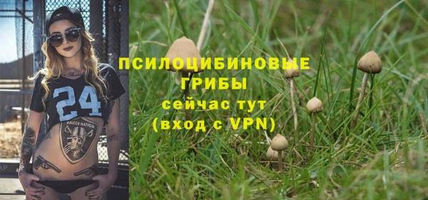дживик Дмитриев