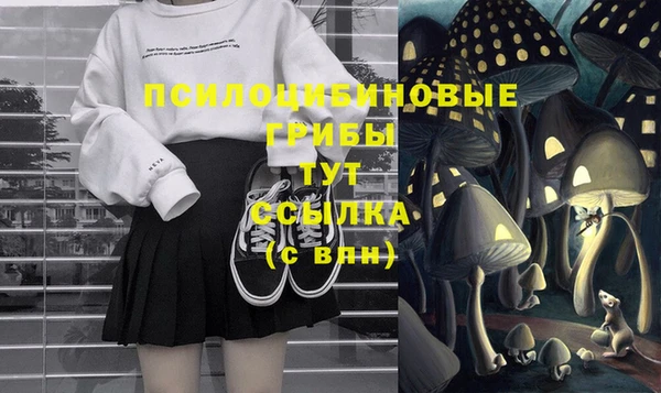 эйфоретик Дмитровск
