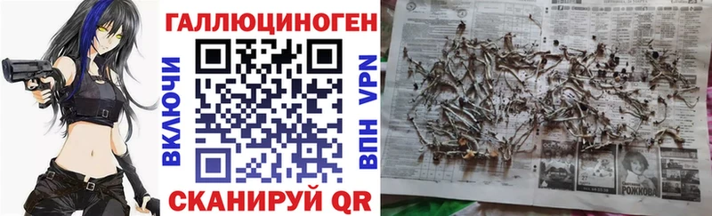 Купить  Нефтегорск  Псилоцибиновые грибы Psilocybine cubensis 